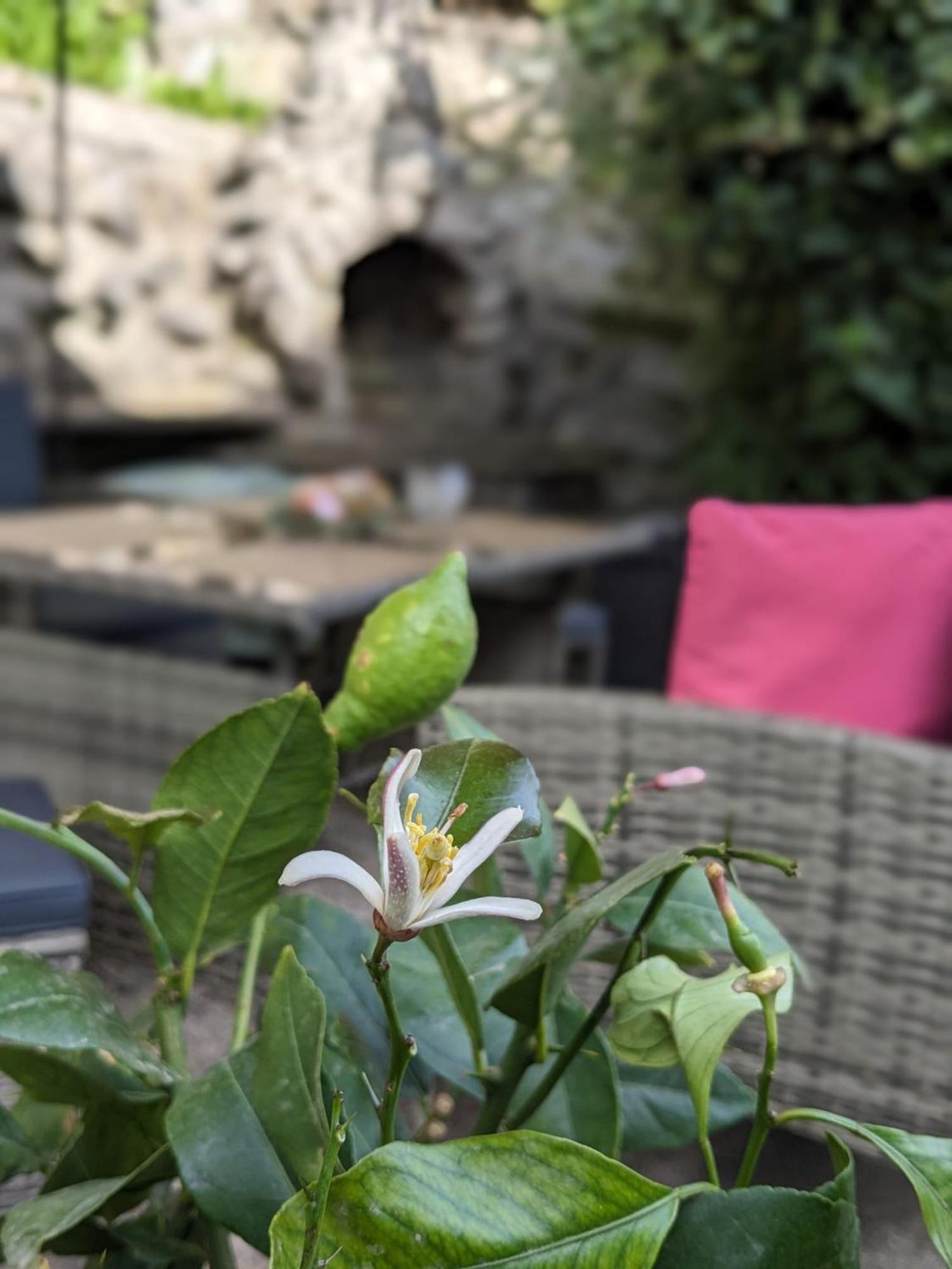 Waldblickwohnung Mit Schoener Terrasse Und Kamin Sebnitz Exteriér fotografie