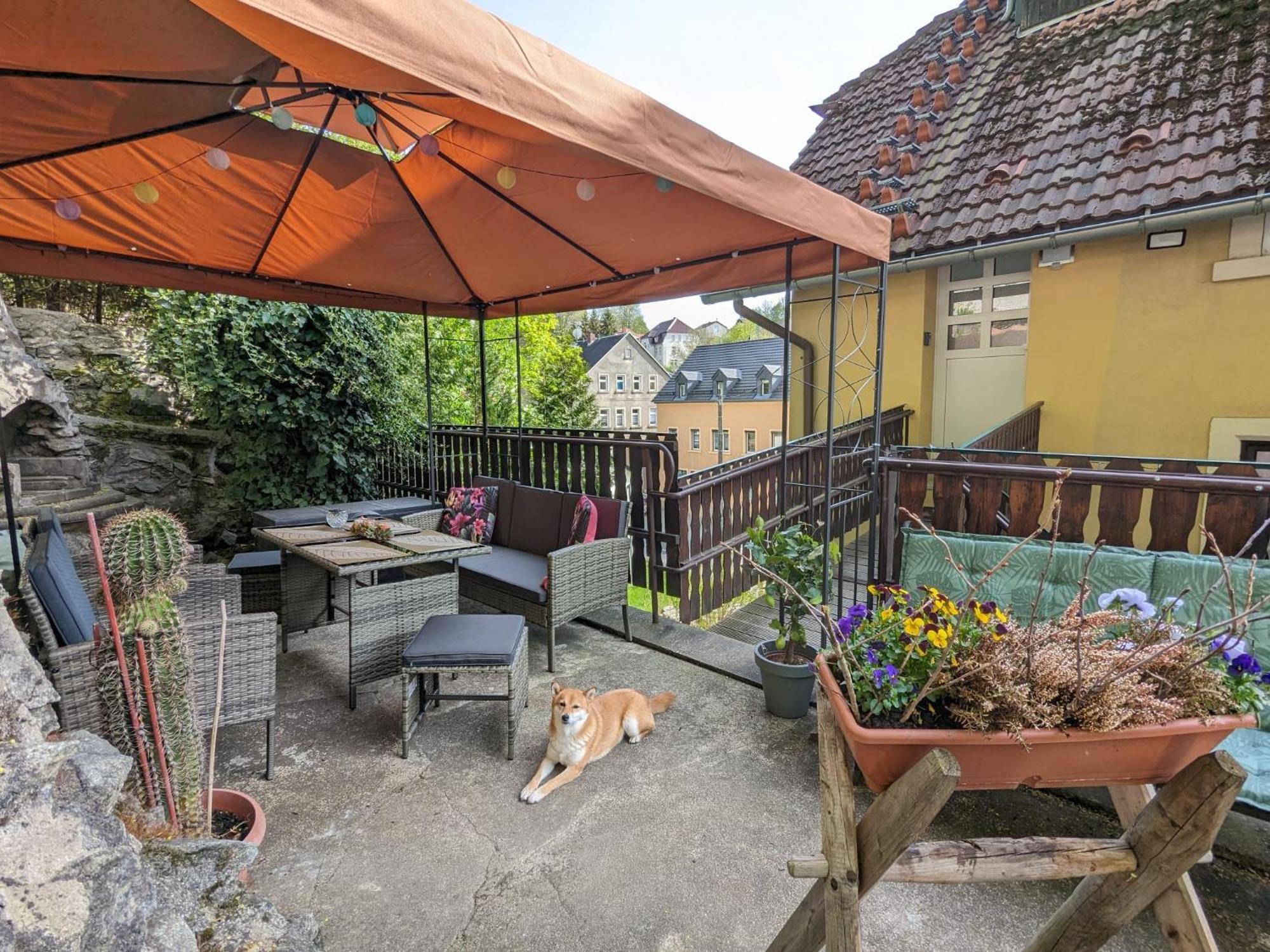 Waldblickwohnung Mit Schoener Terrasse Und Kamin Sebnitz Exteriér fotografie